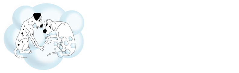 Spot Raiders Dry Cleaning and Laundry Services
